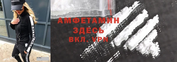 хмурый Арсеньев