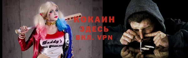 хмурый Арсеньев