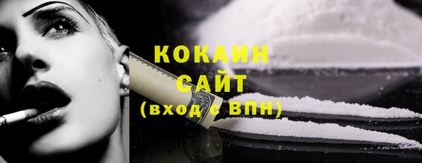 хмурый Арсеньев