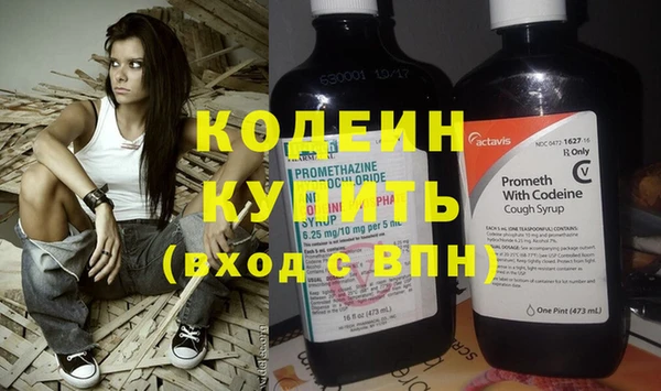хмурый Арсеньев