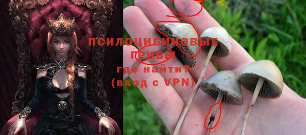 прущая мука Аркадак