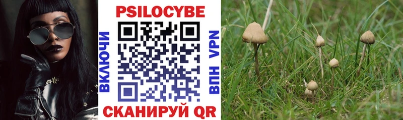 Галлюциногенные грибы Cubensis  Долинск 